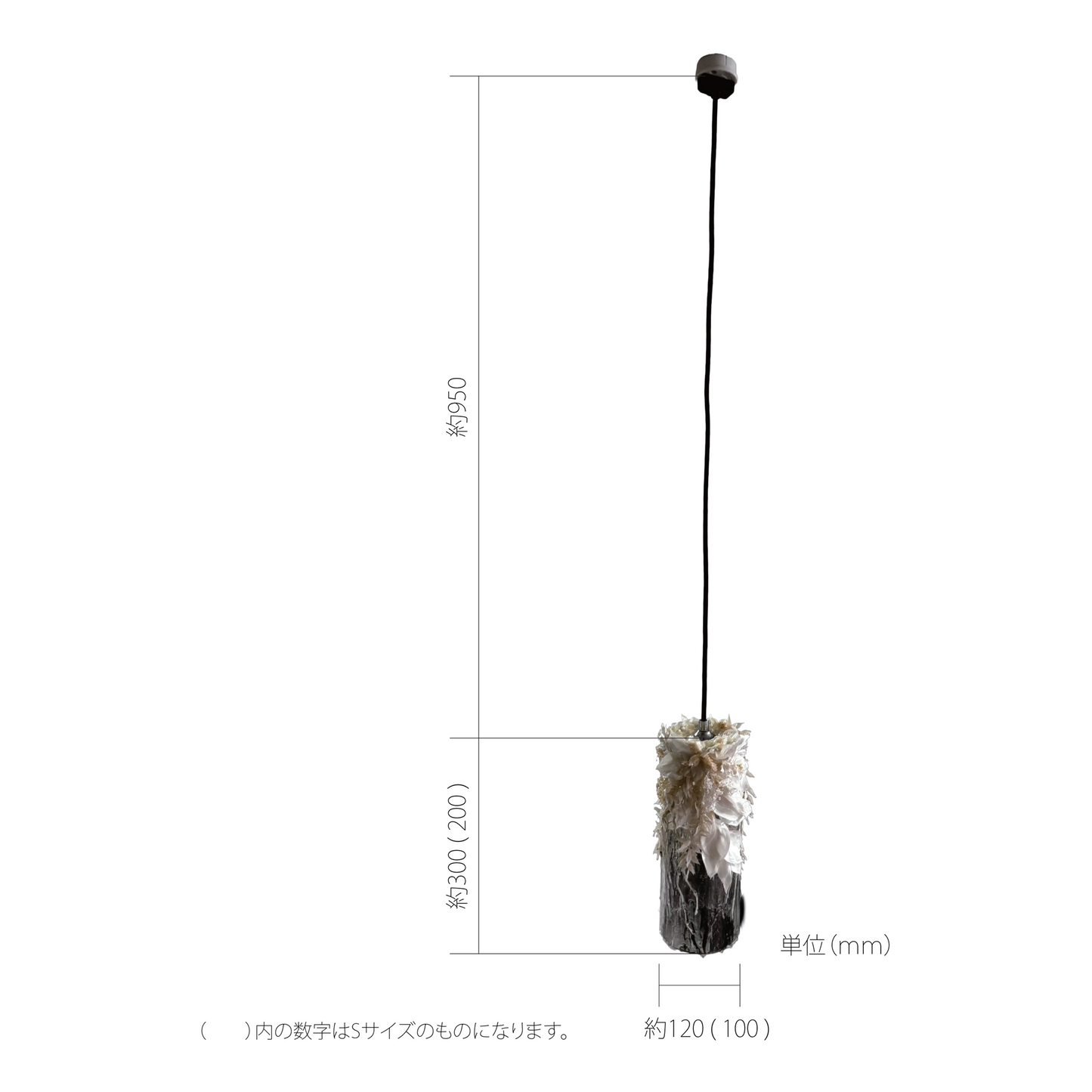 TOUKA | PLSMS003 | Compact